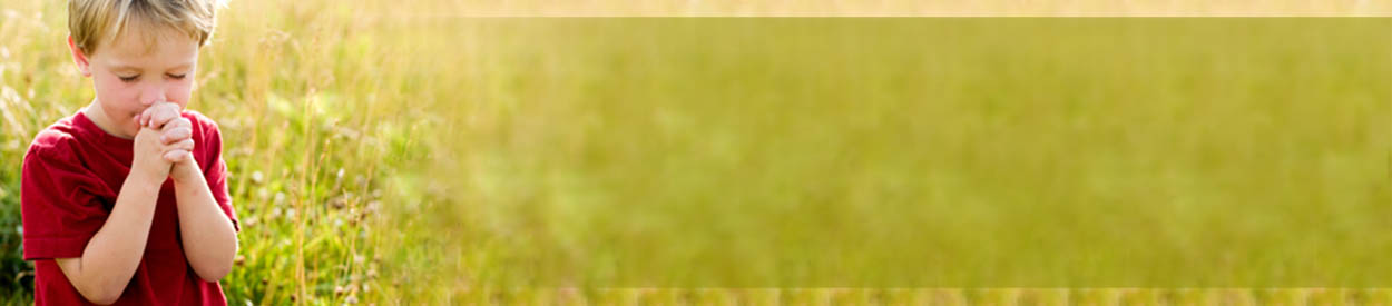 Covenant Light Private School & Co-op