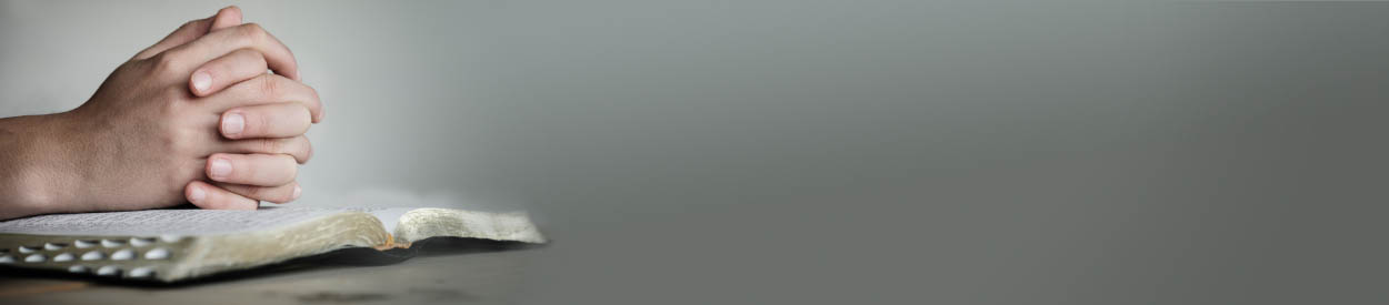 Covenant Light Private School & Co-op